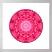 Roze Roses Kaleidoscope Poster (Voorkant)