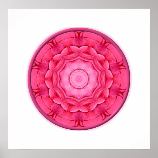 Roze Roses Kaleidoscope Poster (Voorkant)