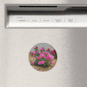 Roze Roses magnet (Insitu (Vaatwasser))