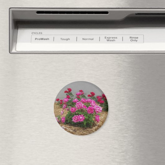 Roze Roses magnet (Insitu (Vaatwasser))