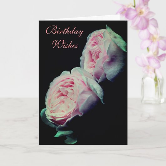 Roze Roses Pair Birthday Kaart (Orchidee)