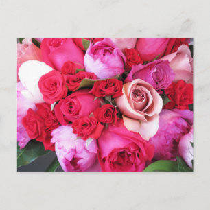 Roze Roses Paris Briefkaart