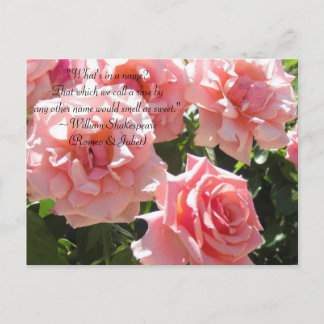 Roze Roses Shakespeare Quote Briefkaart