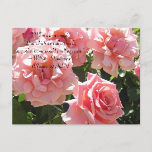 Roze Roses Shakespeare Quote Briefkaart (Voorkant)