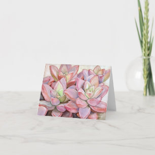 Roze rosette succulent note card kaart