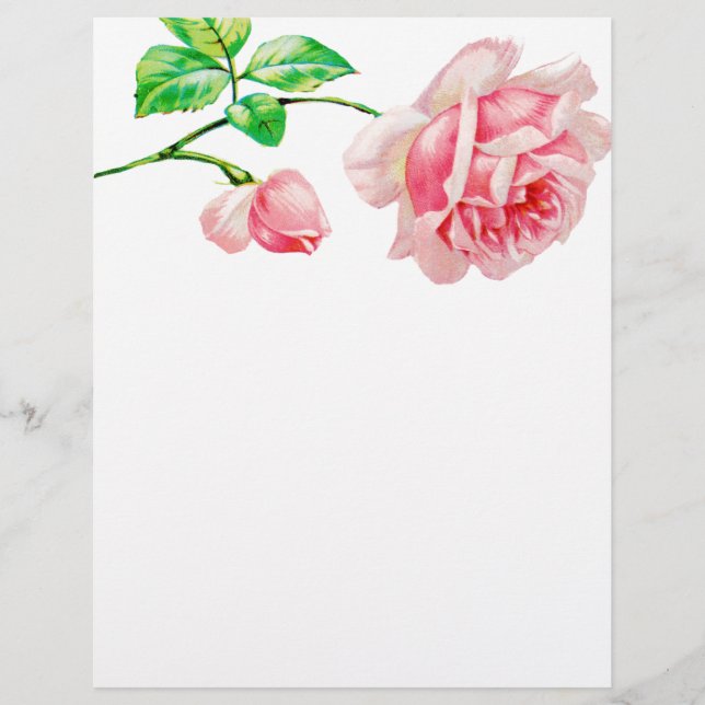  Roze Roze (Voorkant)