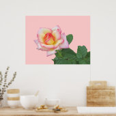 Roze roze 2-toon poster (Keuken)