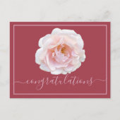 Roze roze achtergrond Gefeliciteerd Briefkaart (Voorkant)