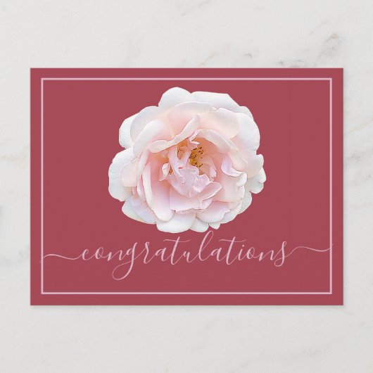 Roze roze achtergrond Gefeliciteerd Briefkaart (Voorkant)