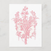 Roze roze afbeelding briefkaart (Voorkant)