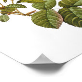 roze roze afdrukillustraties poster (Hoek)