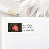 Roze roze bij nacht etiket (Insitu)