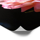 Roze Roze bloem Bloem poster prints Floral (Hoek)