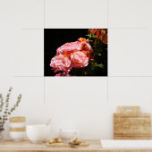 Roze Roze bloem Bloem poster prints Floral (Keuken)