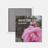 Roze roze bloem magneet (Voorkant / Achterkant)