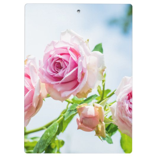 Roze roze bloemen klembord (Achterkant)