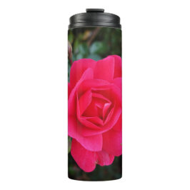  roze roze bloemfotografie thermosbeker