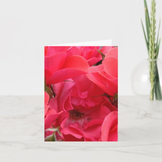 Roze roze bloemkaart kaart (Voorkant)