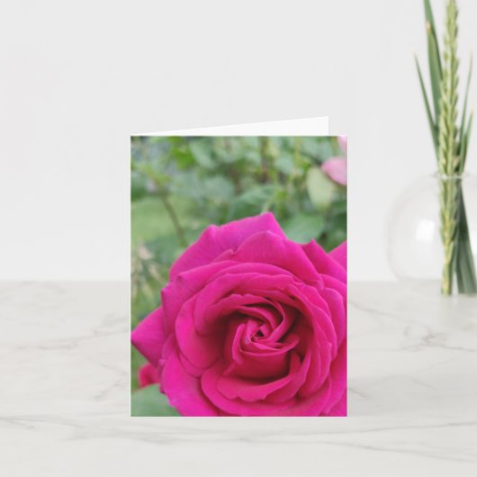 Roze roze bloemkaart kaart (Voorkant)