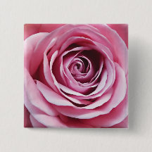 Roze roze bloemklaver