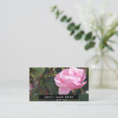 Roze roze, bloemkool visitekaartje (Staand voorkant)
