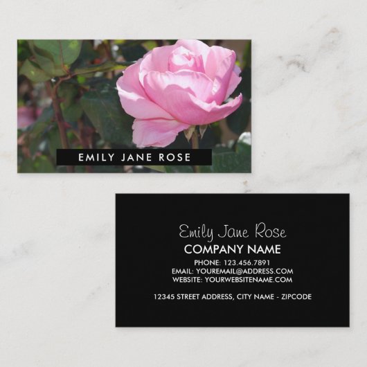 Roze roze, bloemkool visitekaartje (Voorkant / Achterkant)