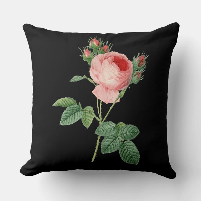 Roze roze  botanische afbeelding op zwart kussen (Voorkant)