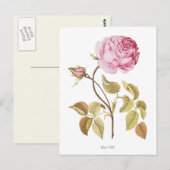 roze roze botanische afdrukken briefkaart (Voorkant / Achterkant)