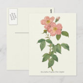 roze roze botanische afdrukken briefkaart (Voorkant / Achterkant)