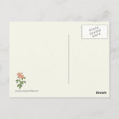 roze roze botanische afdrukken briefkaart (Achterkant)