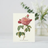  roze roze botanische afdrukken briefkaart (Staand voorkant)