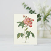 roze roze botanische afdrukken briefkaart (Staand voorkant)