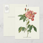roze roze botanische afdrukken briefkaart (Voorkant / Achterkant)