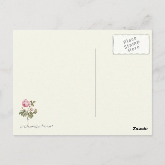  roze roze botanische afdrukken briefkaart (Achterkant)