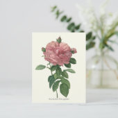  roze roze botanische afdrukken briefkaart (Staand voorkant)
