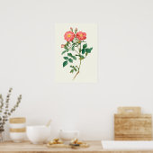  roze roze botanische afdrukken poster (Keuken)