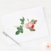 Roze roze  botanische illustratie ovale sticker (Envelop)