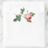 Roze roze  botanische illustratie ovale sticker (Tas)