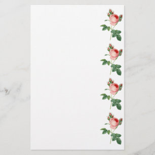 Roze roze  botanische illustratiegrens briefpapier
