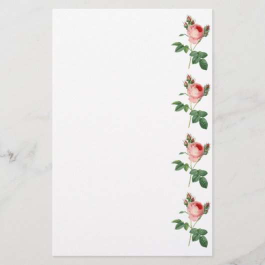 Roze roze  botanische illustratiegrens briefpapier (Voorkant)