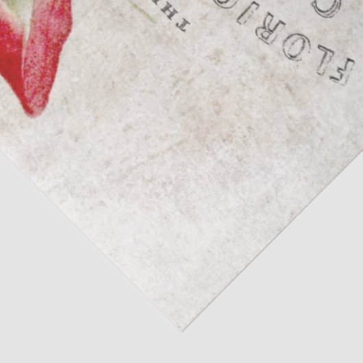  roze roze botanische ontvlechting tissuepapier (Detail)