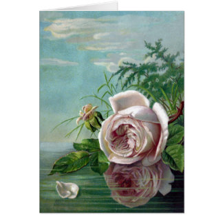 Roze roze boven water
