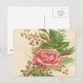 Roze Roze Briefkaart (Voorkant / Achterkant)