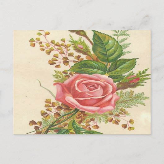 Roze Roze Briefkaart (Voorkant)