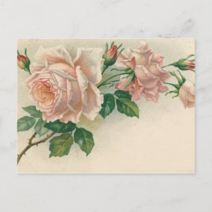 Roze Roze Briefkaart