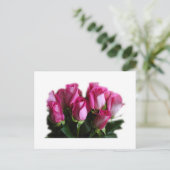 roze roze briefkaart (Staand voorkant)