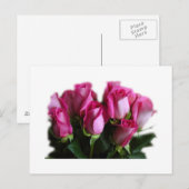 roze roze briefkaart (Voorkant / Achterkant)