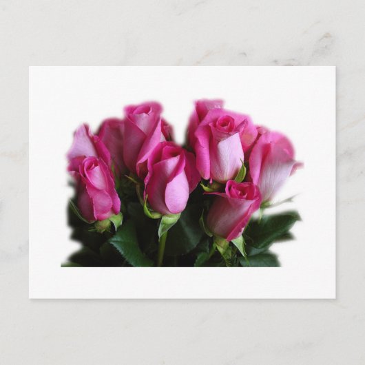 roze roze briefkaart (Voorkant)