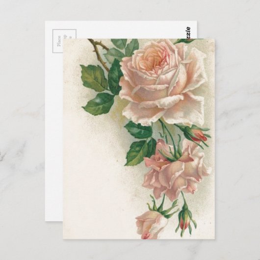  Roze Roze Briefkaart (Voorkant / Achterkant)