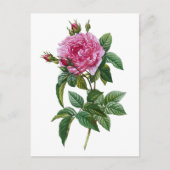 Roze Roze Briefkaart (Voorkant)